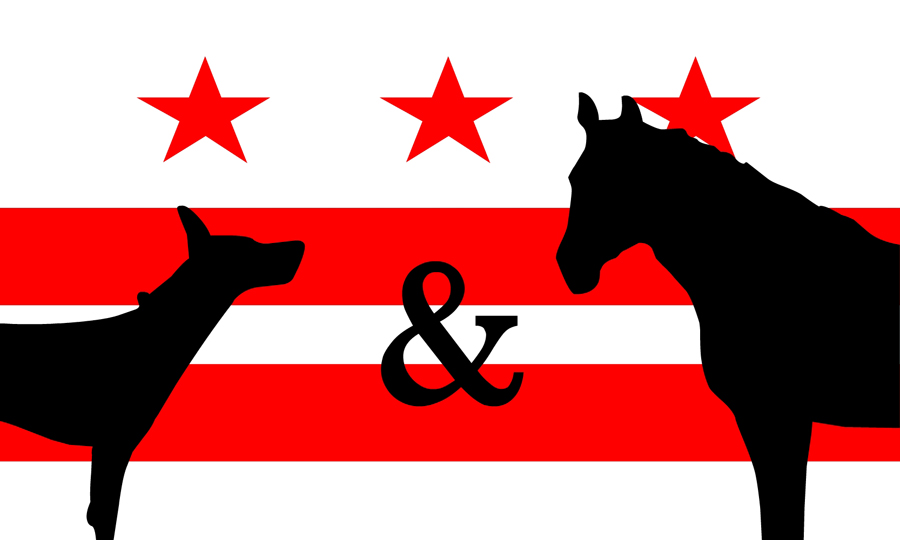 dog & pony dc